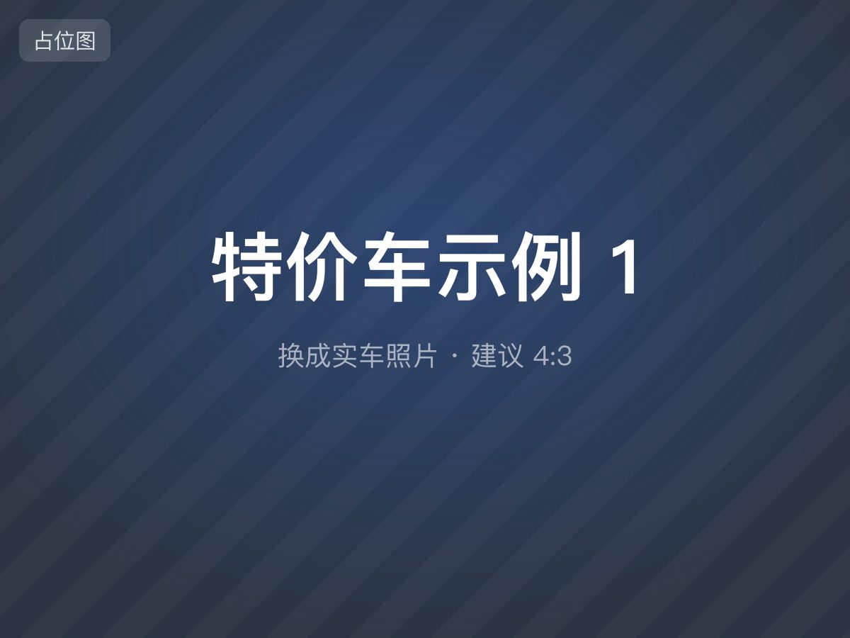 特价车示例 1