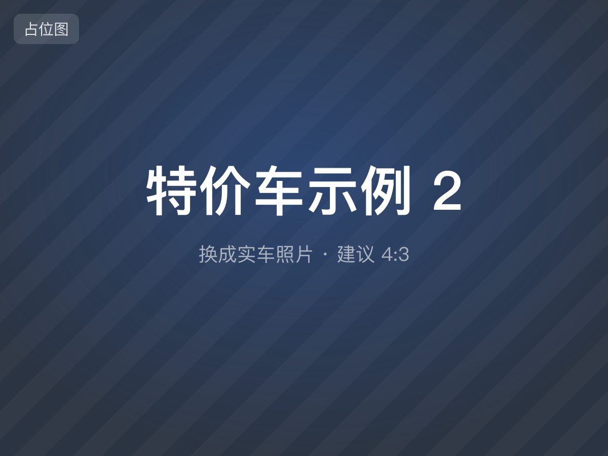 特价车示例 2