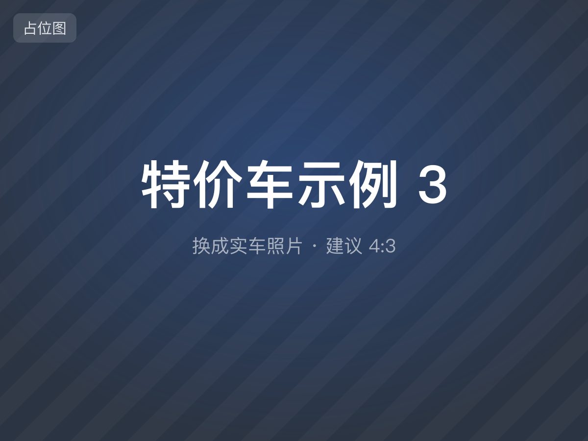 特价车示例 3