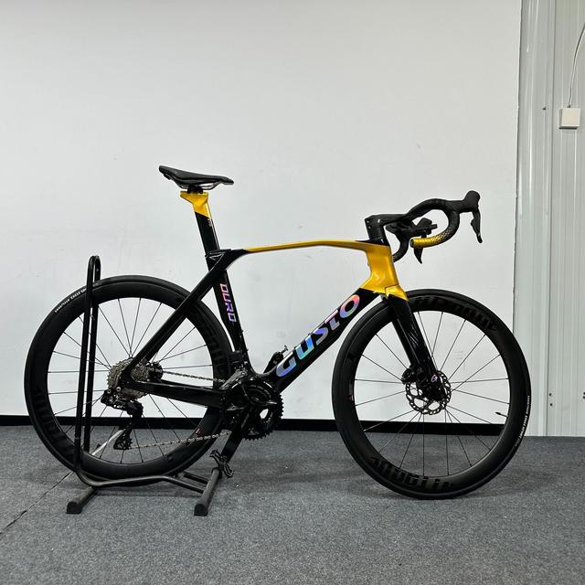 高士特/GUSTO 高士特 DURO EVO 25款 车型图 · 整车 · 车队金