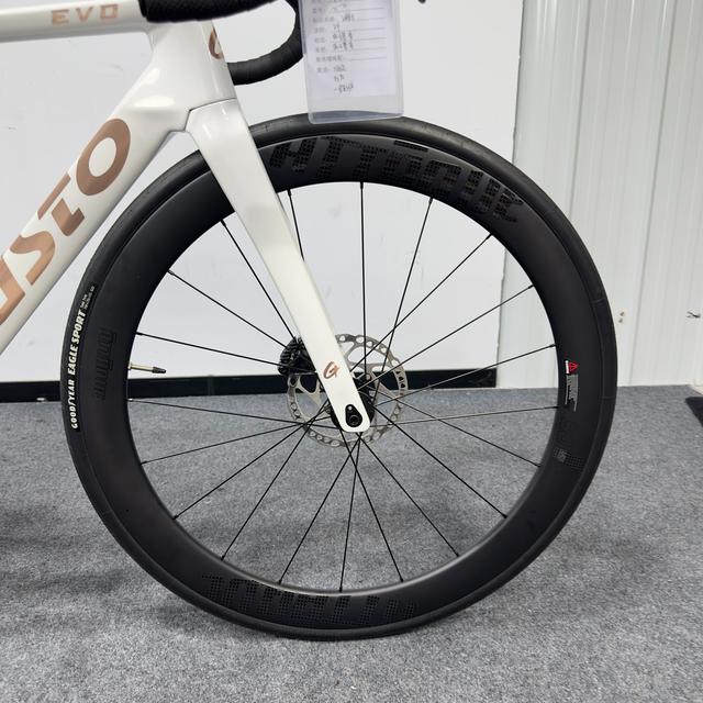 高士特/GUSTO 高士特 COBRA EVO 车型图 · 轮组