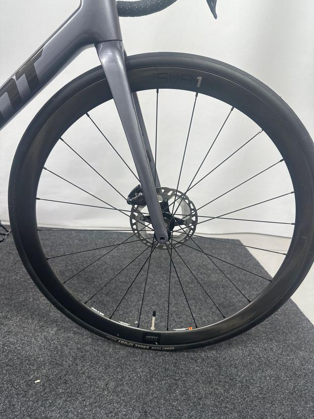捷安特/GIANT 捷安特 十代 TCR ADV PRO 车型图 · 轮组 · 水星银